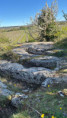 /album/4-avril-coteaux-de-bourdic/v-407-jpg1/